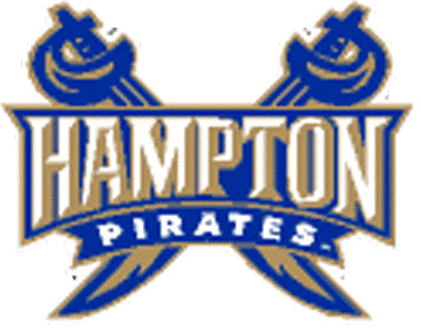Hampton Pirates 2002-2006 Secondary Logo t shirts DIY iron ons